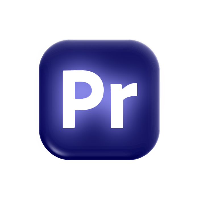 Adobe Premiere Pro